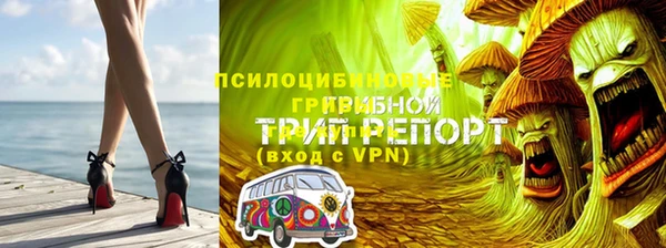 скорость Приозерск