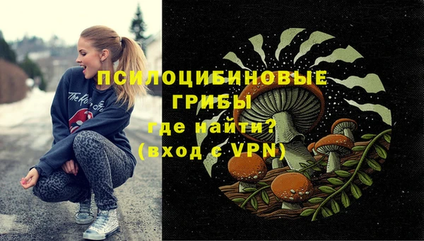 амф Протвино